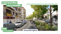 Plan de végétalisation - Avenue Borriglione - 2e semestre 2019