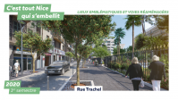 Plan de végétalisation - Rue Trachel - 1er semestre 2020