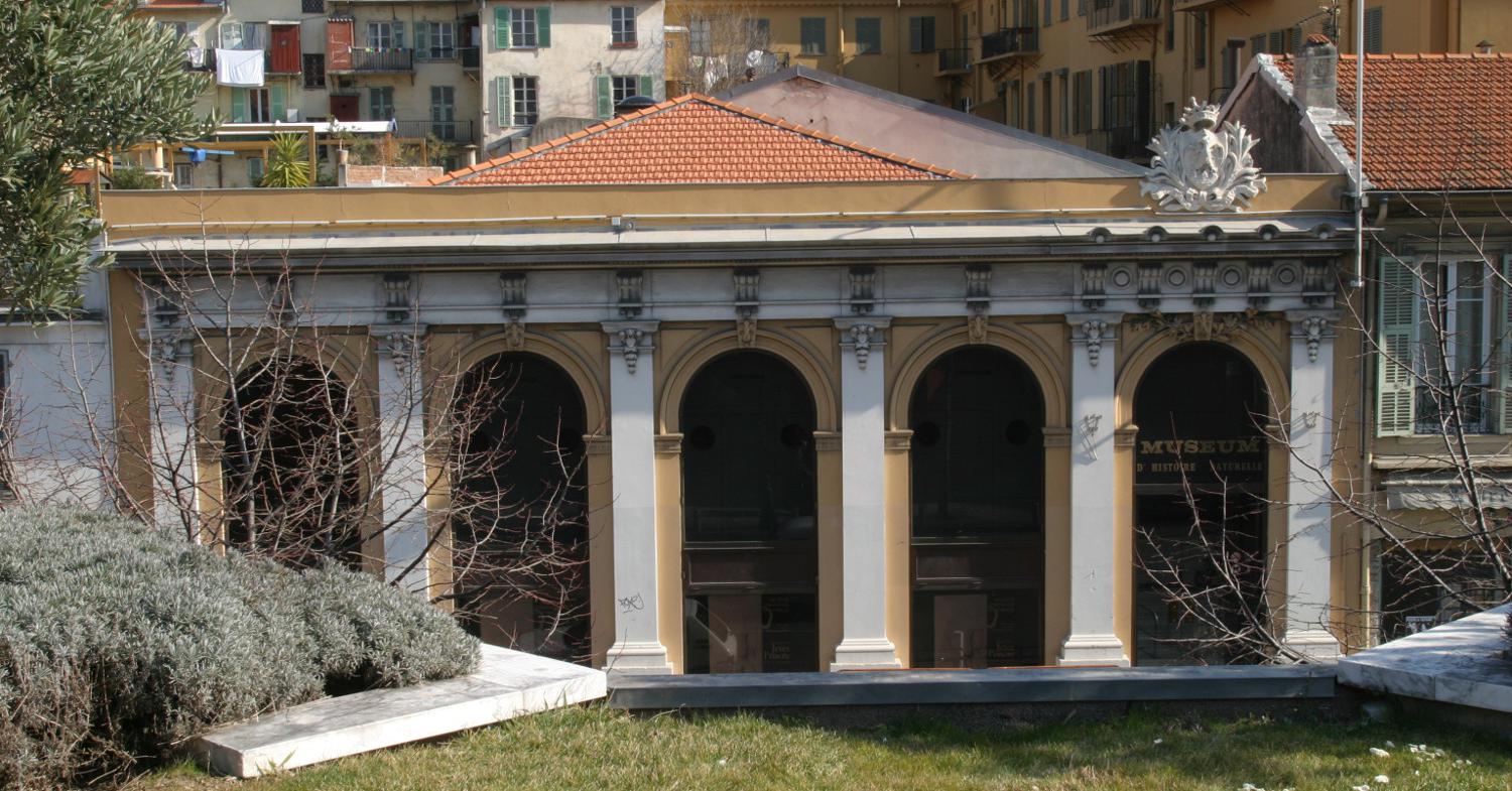 Естественнонаучный музей Ниццы -музеи Ниццы
