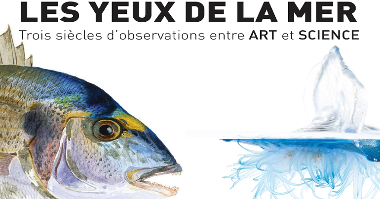 Les yeux de la Mer : « Trois siècles d’observation entre arts et science »
