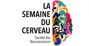 La semaine du cerveau