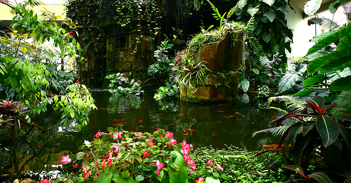 Jardín botánico de la Ville de Nice