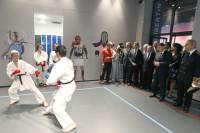 Demonstration de judo