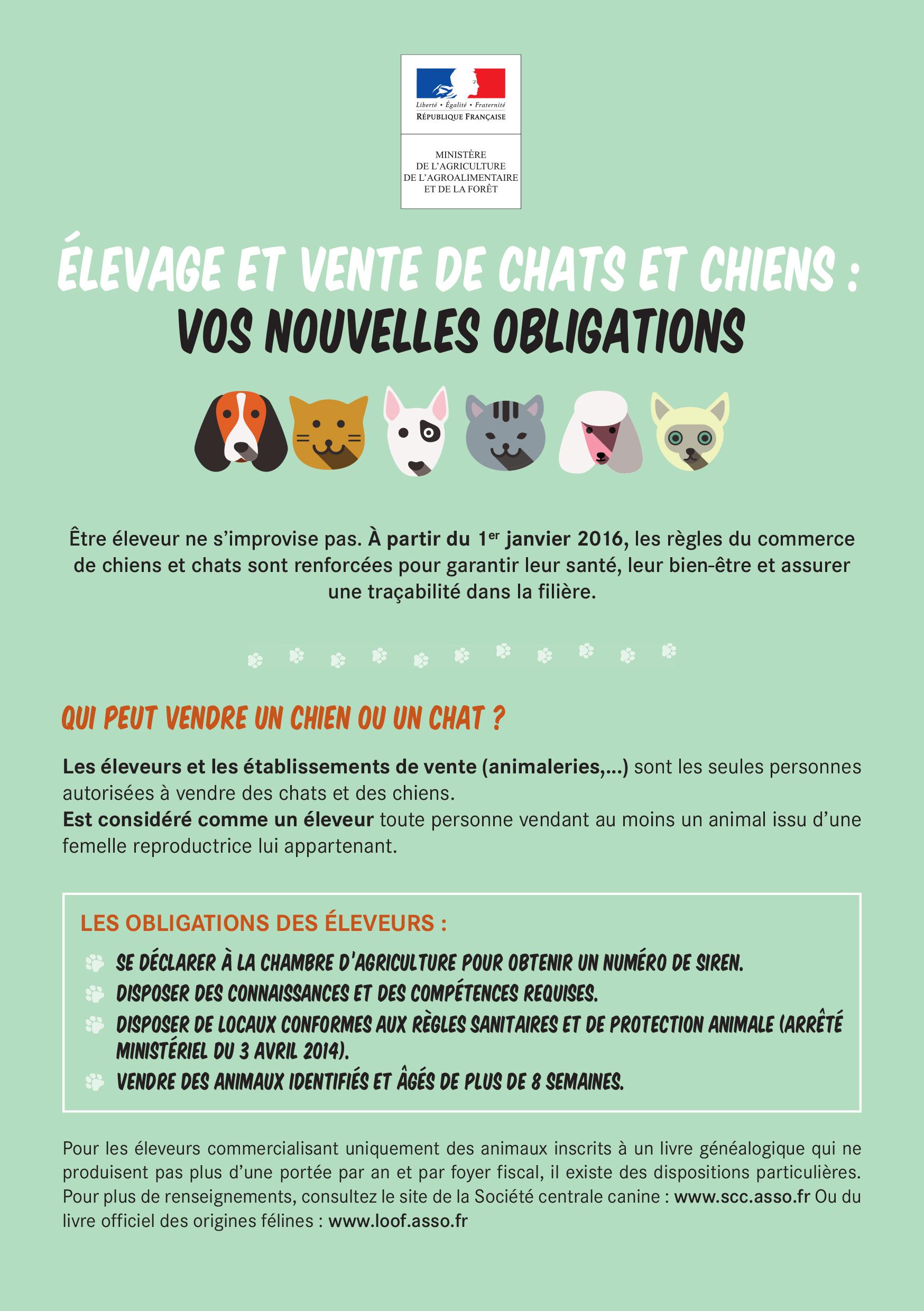 Elevage Et Vente De Chiens Et Chats Ville De Nice