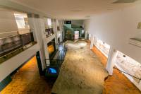 Visite du centre de loisirs thématique « Terra Amata, les portes du temps » 11