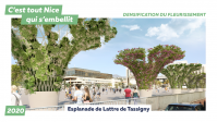Plan de végétalisation - Esplanade de Lattre de Tassigny