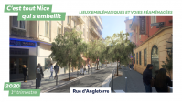 Plan de végétalisation - rue d'Angleterre 1er trimestre 2020