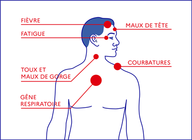 Symptômes Coronavirus COVID-19