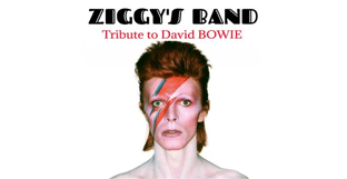 ziggys-band-black-box-nice