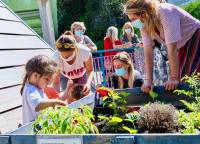 jardin-partage-terra-amata