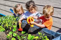 jardin-partage-terra-amata