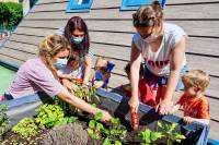 jardin-partage-terra-amata