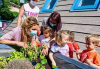 jardin-partage-terra-amata