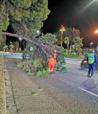 réserve civile