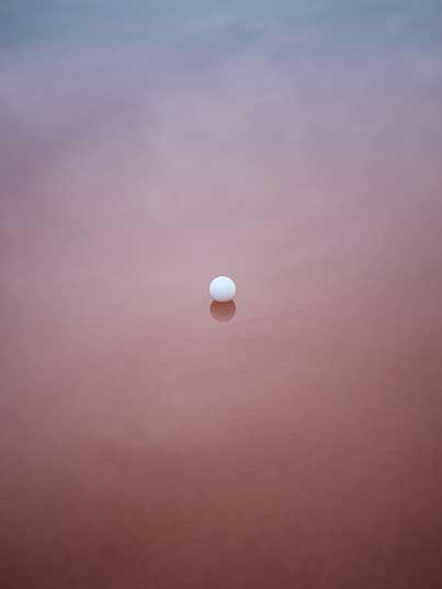 Alexandre Dufaye-Repenser le vivant-2021-Courtesy de l'artiste et de la Galerie Catherine Issert