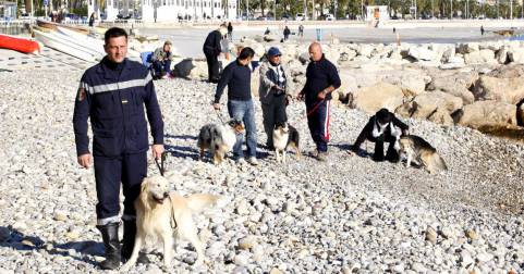 Nice, 3ème du palmarès des villes les plus accueillantes pour les chiens et leurs maîtres