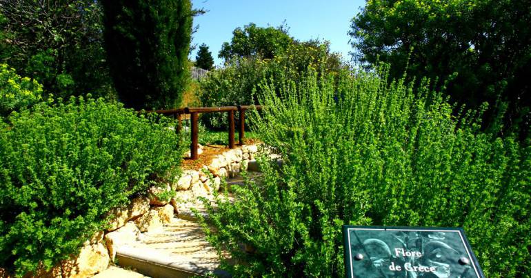 jardin botanique