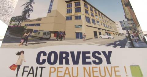 Corvesy