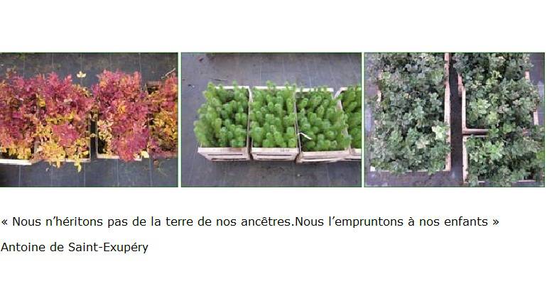 Semaine du développement durable
