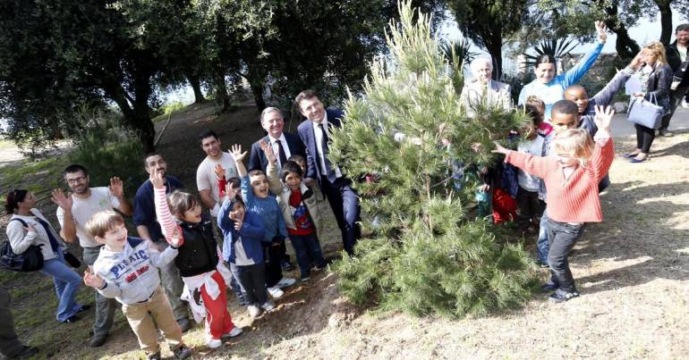 Visu 1arbre 1 enfant 2013