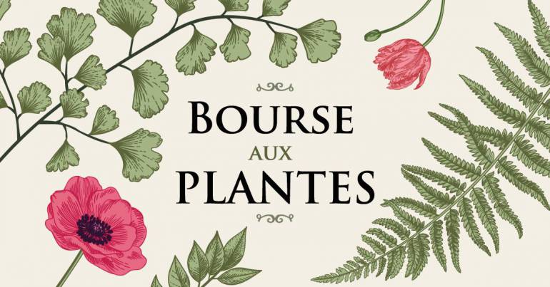 Bourse aux plantes d''automne