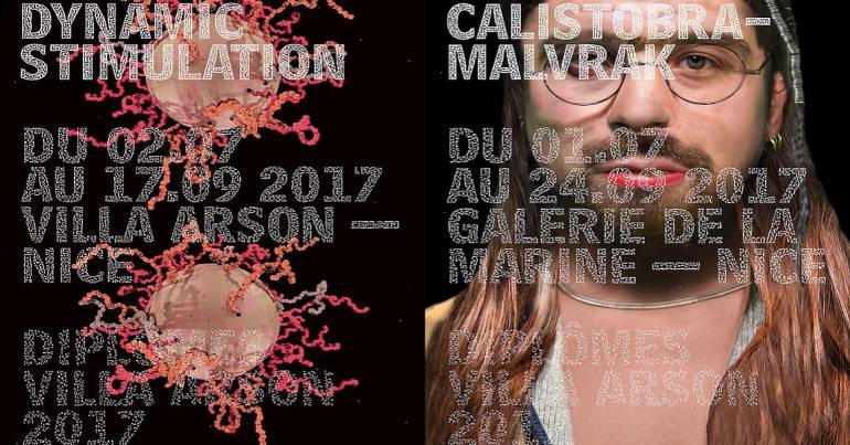 Diplômes Villa Arson 2017