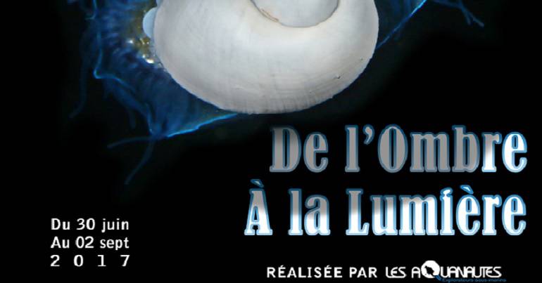 Exposition "De l''ombre à la lumière"