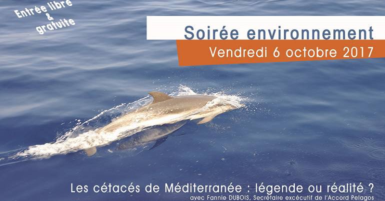 Conférence\: Les cétacés de Méditerranée \: légende ou réalité \?