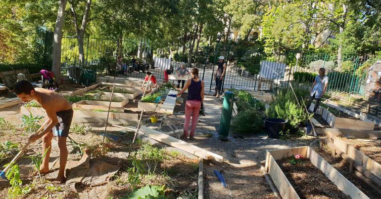 Le potager pédagogique