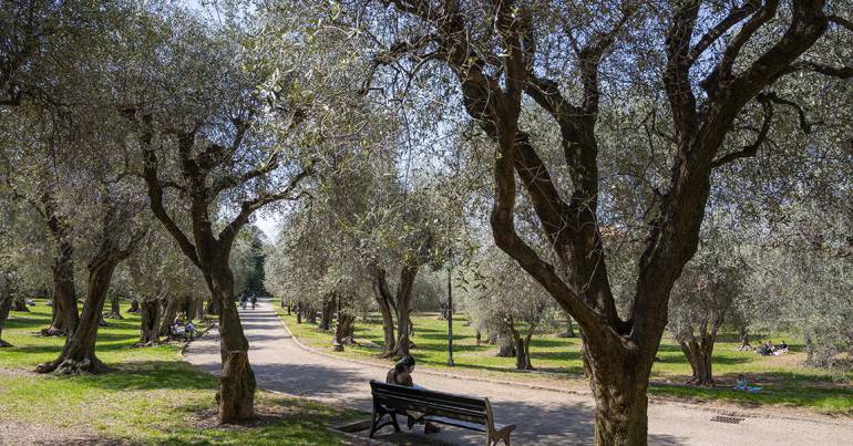 jardin des arènes de Cimiez