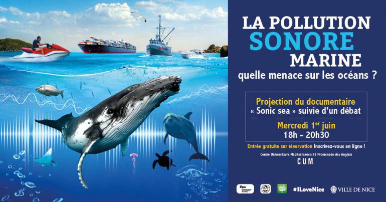 Projection-débat \: Sonic Sea