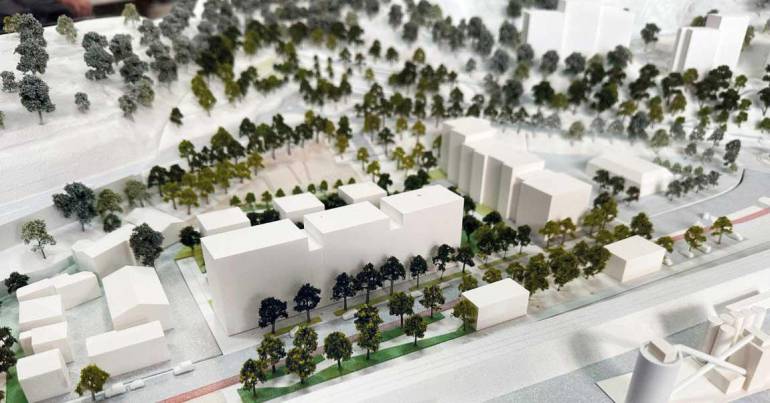 Le projet des Liserons