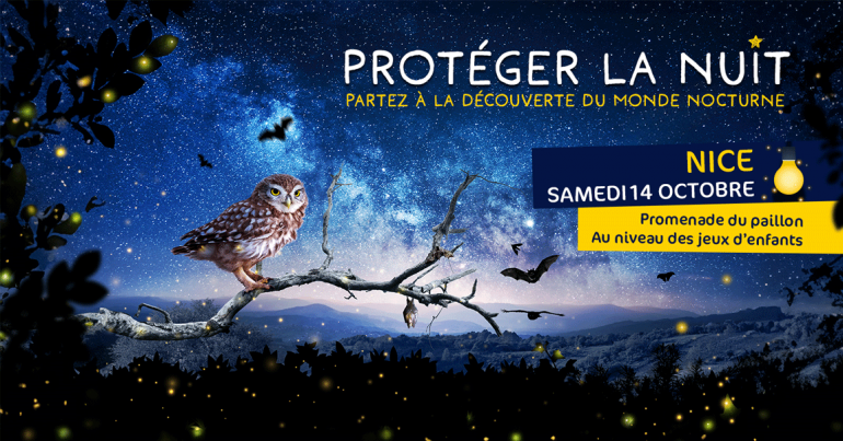 Protéger la nuit, partez à la découverte du monde nocturne \!