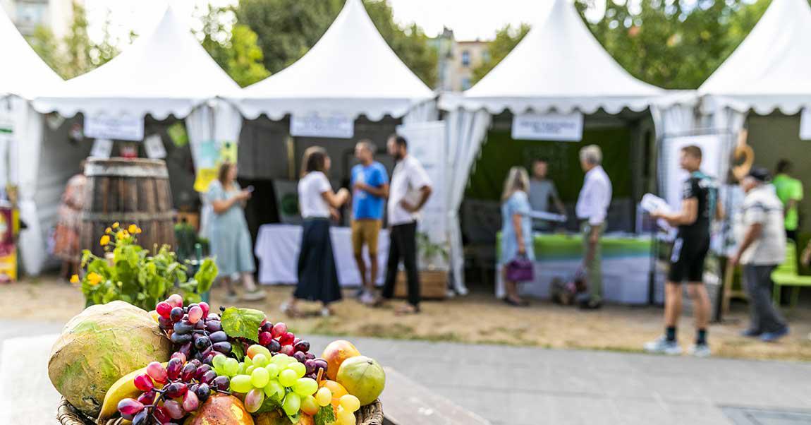 Appel à manifestation d''intérêt \: stands pour exploitants agricoles et artisans lors de la San Bertoumiéu