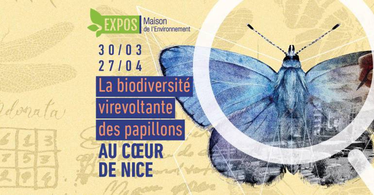 Exposition « La biodiversité virevoltante des papillons au cœur de Nice »