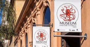 Réaménagement du Muséum d’Histoire Naturelle