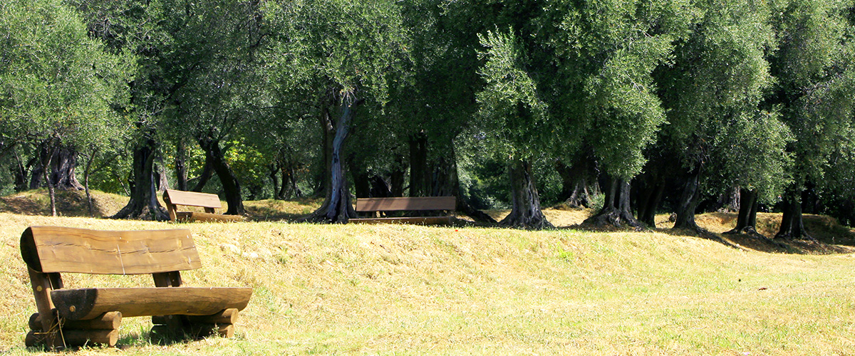 Parc d'Estienne d'Orves