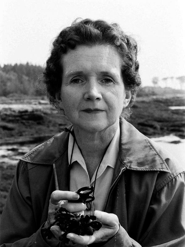Photo portrait de Rachel Carson